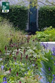 Rhs Chelsea Flower Show Show Garden Rbc Waterscape Garden Royal Bank Of Canada Hugo Bugg Chelsea Flower Show Beautiful Gardens Garden Inspiration