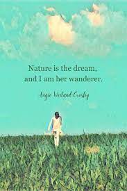 Nature Quotes For The Wandering Soul In 2021 Nature Quotes Nature Quotes Inspirational Walking Quotes