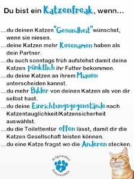 katzen katze lustig katzenspruche