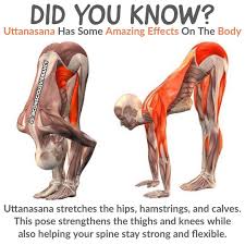 Uttanasana Not Only Heals But Also Rejuvenates Your Body In This Asana Your Head Is Below The Heart A Yoga Benefits Work Out Routines Gym Easy Yoga Workouts