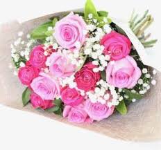 We did not find results for: New Baby Flowers Delivery Online Australia Uniting Flowers