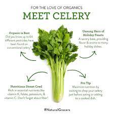 Celery In Arabic اروردز