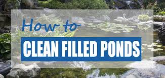 I am curious to see what you come up with to use as a filter.currently researching myself. How To Clean A Pond Without Draining It Fast Easy Methods Pond Informer