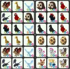 Raise over 65+ cute pets. Wong Zhi Xin M12813016 Profile Pinterest