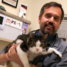 Chesapeake, VA Veterinarians