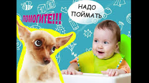 video pro zhivotnyh i pro detej prikoly veseloe video baby face baby face