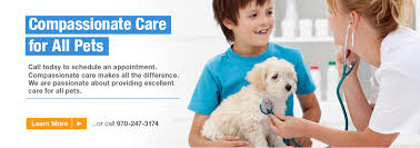 247 pet hospital near me. Durango Animal Hospital Veterinarian In Durango Co Us