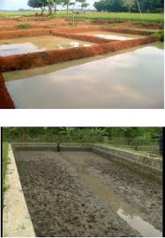 Mengenal Jenis Jenis Wadah Budidaya Ikan Pusat Benih Ikan Lele Di Tangerang