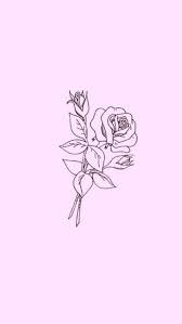 Black Background With Rose In Middle Roses Are Red Violets Are Blue I Have Five Fingers And The Middle Poinys At U Cute Wallpaper Backgrounds Cute Wallpapers Pink Quotes