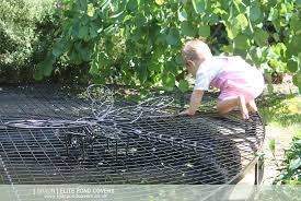 Gartenteich Kindersicher Machen Die Moglichkeiten Im Uberblick Teich Landschaftsbau Und Kleiner Gartenteich