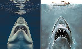 By brian amaral globe staff, updated. Euan Rannachan Recreated The Jaws Poster With A Real Great White Shark Cool Material