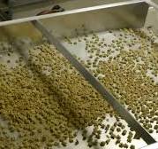Walnut optical sorting machines – Processing walnuts | TOMRA