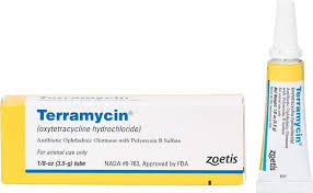 Terramycin Teramisin Krem Nedir Ne Ise Yarar Modanium