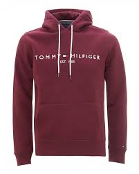 Mens Organic Cotton Blend Logo Hoodie Burgundy Red Sweatshirt