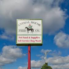 Join the animal house community. 26 Top Images Animal House Pet Store Wisconsin Top 10 Pet Shops In Theni Best Pet Store Suppliers Justdial About A3fvf5lr 2004