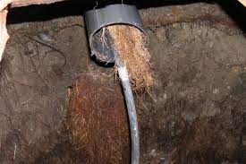Preventing Clogged Pipes And Drains In Older Houses Clogged Pipes Drains Old House