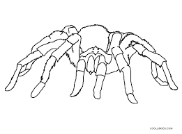 Image result for mewarnai tobot x y z gambar bingkai. Free Printable Spider Coloring Pages For Kids