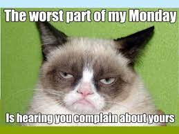 Internet S Favorite Grumpy Cat Is No More Here Are Some Of Her Memorable Memes Times Of India