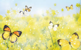 Maybe you would like to learn more about one of these? Yellow Flowers And Butterflies Wallpapers Top Free Yellow Flowers And Butterflies Backgrounds Wallpaperaccess