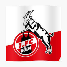 Fc köln wallpapers für ihren pc, laptop oder tablet. Fc Koln Gifts Merchandise Redbubble