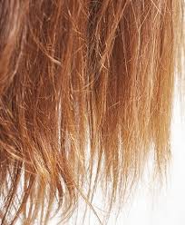 How To Prevent Dry Brittle Hair Tips Tricks You Need To Know Makeup Com By L Oreal Brittle Hair Hair Remedies Dry Brittle Hair