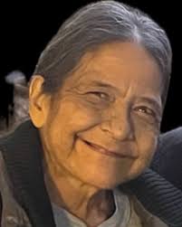 Susan Diann Vineyard Obituary November 12, 2024