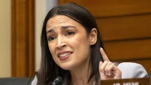 PETA recognizes Wythe County officials, firefighters for rescuing bear cub  from wildfire