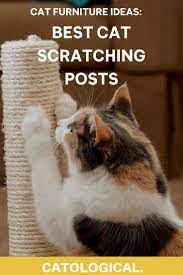 Pin On Cat House Diy