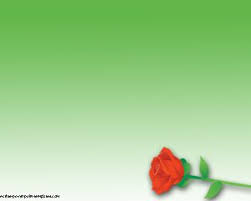 Bunga mawar dan teknik persilangannyadeskripsi lengkap. Selebriti Red Rose Ppt Powerpoint Template Free Download