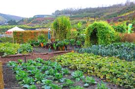 Horticulture Lesson For Kids Definition Facts Study Com