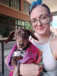 The Queen doesn't walk when Dad has his scooter