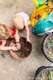 A lighter, flufflier soil mix provides the space needed for air circulation, good drainage, and healthy root growth. Diy Succulent Soil Potting Mix Maison De Pax