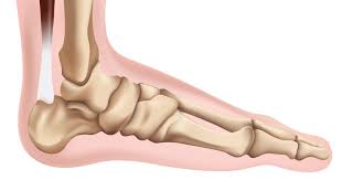 Foot pain without associated leg pain is usually due to a problem localized to the foot itself. Your Foot Foundation In Yoga Postures Yoganatomy