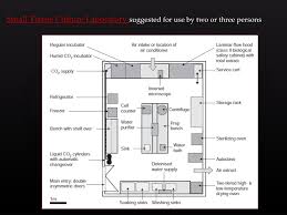 Recombinant dna technology lecture | basics of recombinant dna. Ppt Cell Culture Facilities And Equipment Powerpoint Presentation Free Download Id 1894367