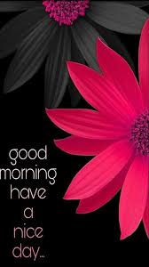 Quote Of The Day Goodmorning Morningwishes Good Morning Images Hd Good Morning Cards Good Morning Images