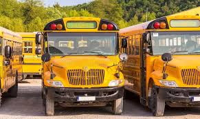 Image result for Yellow 2023 Fleet