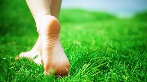 Dennett is a registered dietitian nutritionist and owner of nutrition by carrie. 9 Reasons To Walk Barefoot In The Grass