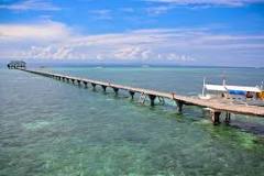 Image result for Nalusuan