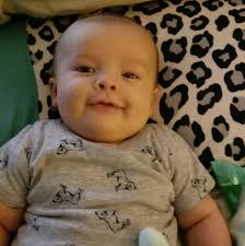 New member introduction to monstera group