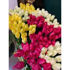 Bendera merah putih kecil plastik bunga lily 1 pak isi 100rp3.500: Buy Bunga Tulip Hiasan 1 Jambak 12pcs Seetracker Malaysia