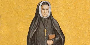 Image result for Maerua duchesnei