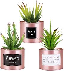 The plants from the aloe genus, especially the aloe vera is undoubtedly the best choice for your office desk. Amazon Com Succulent Office Decor For Women Desk 3 Pots Rose Gold Decor Desk Plant For Bookshelf Decor Artificial Cactus Office And Home Plants Decor For Bedroom Kitchen Decorations Kitchen Dining