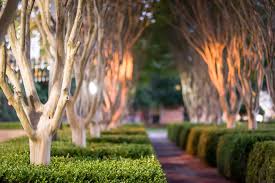 Looking for something to do in spartanburg? Best Neighborhoods In Spartanburg Sc Complete Guide Hd Auston Moving Systems