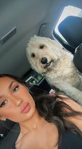 Lost dog in Indian Hills?