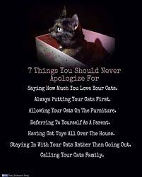 Cats can act all cool, leather jacket, a cigarette between their greeted teeth and all that, but we know that deep down they're sensitive furry souls. The Best Cat Page Added A New Photo The Best Cat Page