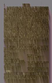 Image result for Nesaea passerinoides