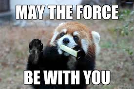 Make your own images with our meme generator or animated gif maker. 20 Totally Cool May The Force Be With You Memes Sayingimages Com Red Panda Red Panda Baby Panda