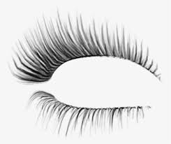 I've seen a few other eyelash brush sets out there, but most seemed to be the basic shape of fake eyelashes when they're in the case. Adobe Photoshop Eyelash Brushes Eyelash Brush Photoshop Hd Png Download Kindpng
