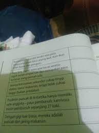 Rantai makanan adalah proses bagaimana organisme yang berbeda saling memangsa satu sama lain untuk bertahan hidup. Laporan Tentang Rantai Makanan Di Antartika Tolong Di Jawab Yaa Penting Brainly Co Id