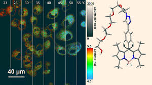 fluorescent nano thermometer can measure temperature inside